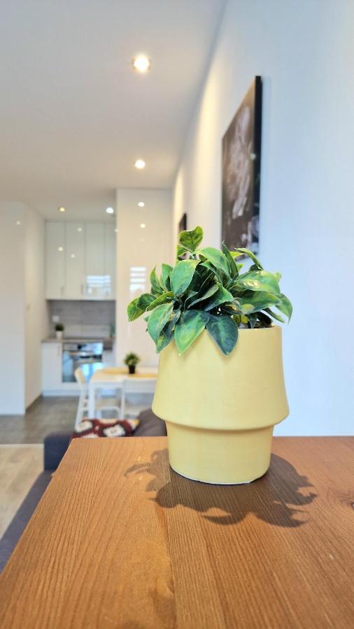 Apartament Czechowska Comfort لوبلين المظهر الخارجي الصورة